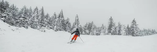 Катание на лыжах в идиллических горных зимних лесах снежный пейзаж. Человек катается на лыжах по красивым горнолыжным склонам во время лыжного отдыха. Панорамный баннер — стоковое фото