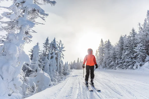 Esqui. Ski mulher esquiador alpino indo em esquis vestindo capacete, óculos de esqui legais e casaco de inverno dura e luvas de esqui. Mulher descendo esqui entre árvores cobertas de neve na pista de esqui — Fotografia de Stock