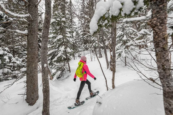 Snowshoeing povos na floresta do inverno com árvores cobertas neve no dia nevado. Mulher em caminhada na neve caminhadas em snowshoes vivendo saudável estilo de vida ativo ao ar livre — Fotografia de Stock