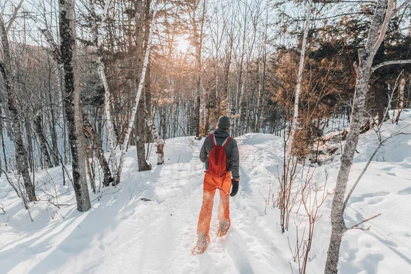 Snowshoeing τους ανθρώπους στο δάσος χειμώνα με χιόνι κάλυψε δέντρα σε χιονισμένο ημέρα. Ο άνθρωπος για πεζοπορία στο χιόνι με snowshoes ζουν υγιή ενεργό υπαίθριο τρόπο ζωής — Φωτογραφία Αρχείου