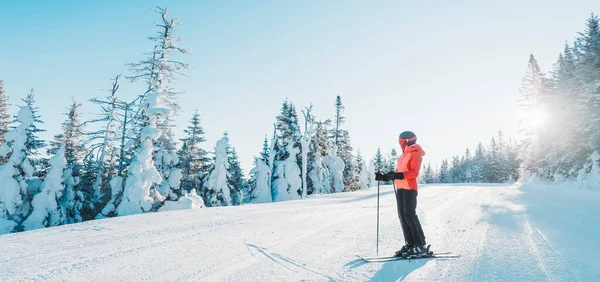 スキー女性のスキー山の風景の自然を見て屋外に立ってスキーを保持。牧歌的な景色のバナーに寒い天候で白いパウダースノーの斜面に乗るアルパインスキー。ウィンタースポーツ — ストック写真