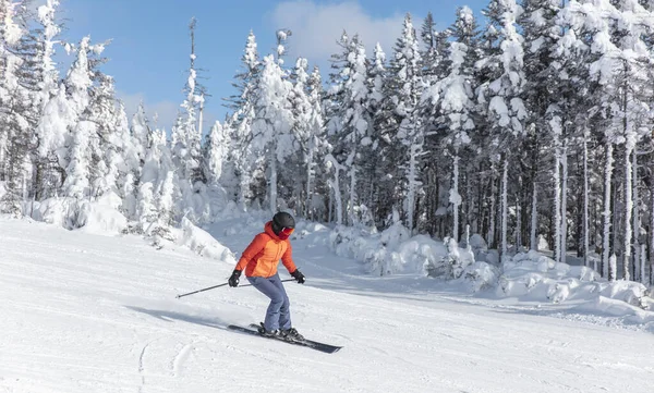 Esquí alpino. Esquí mujer esquiadora que va cuesta abajo contra los árboles cubiertos de nieve en pista de esquí pista en invierno. Buena esquiadora femenina recreativa en chaqueta de esquí roja — Foto de Stock