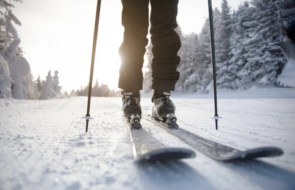 Esqui. Esqui nas primeiras pistas. Esquiador alpino descendo esqui de manhã em pistas frescas em pista de esqui preparado pista de esqui pista. Fechar a trilha, esquis e botas de esqui entre árvores cobertas de neve — Fotografia de Stock