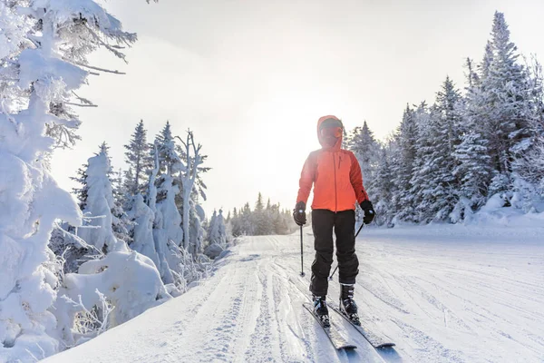 겨울 스키. 스키를 타러 가는 알파인 스키 선수는 헬멧을 쓰고 시원 한 스키 고글을 쓰고 겨울 재킷 과 스키 글러브를 착용 한다. 스키 트레일 경사면에 눈덮인 나무로 스키를 타고 내려가는 여자 — 스톡 사진