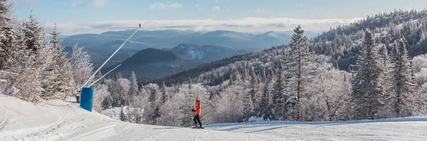 Sciare. Ritratto sci di donna sciatrice alpina nella giornata fredda davanti agli alberi innevati sulla bellissima pista da sci — Foto Stock