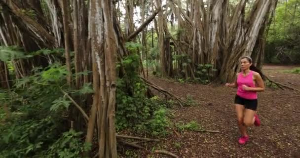 반 얀 나무를 타고 숲 속을 달리는 여자, 산책로를 달리는 사람을 훈련시키고 일하는 여자 — 비디오