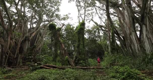 Vrouw rennend in het bos door banyan boomtraining en training - Trail runner — Stockvideo