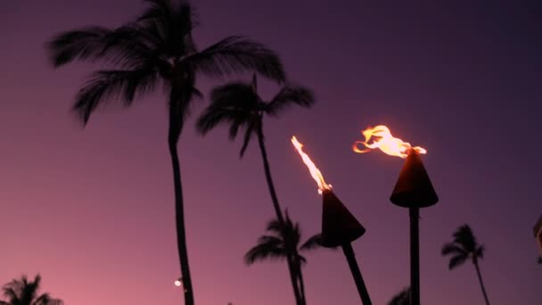 Torches with fire and flames burning in Hawaii sunset sky by palm trees. — Stockvideo