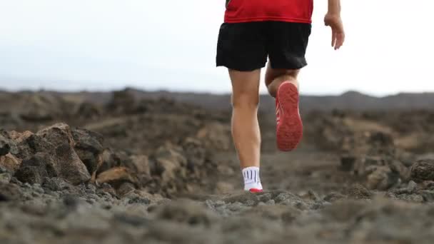 Mann läuft - Trail Runner Training beginnt mit dem Laufen in herrlicher Landschaft — Stockvideo