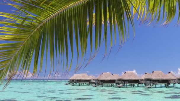 サンゴ礁の海で水上バンガローリゾートホテルと旅行休暇の楽園 — ストック動画