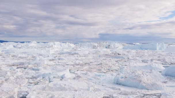 Zmiany klimatu i globalne ocieplenie - góry lodowe z topniejącego lodowca na Grenlandii — Wideo stockowe