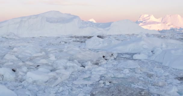 Globální oteplování - Grónsko Ledová krajina Ilulissat s ledovcem — Stock video