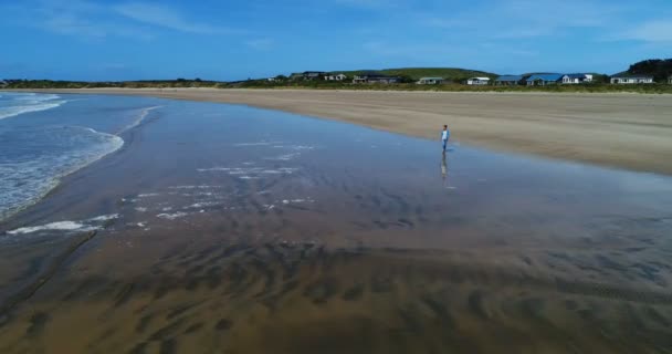 Tourist walking on beach in New Zealand aerial drone footage of beach landscape — Wideo stockowe