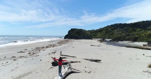 Woman tourist on New Zealand beach balancing on tree trunk playful in Ship Creek — Stock Video