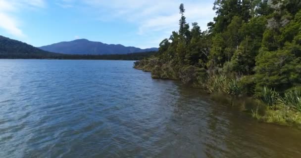 New Zealand aerial drone footage of nature landscape at Lake Paringa — Vídeo de Stock