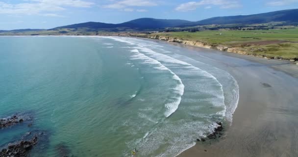 New Zealand aerial drone footage of monkey island beach landscape Te Waewae Bay — Wideo stockowe