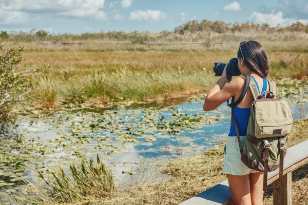 Florida wetlands walking tour woman tourist taking photo with camera of wildlife animal. Bird watching, alligators, fish in the marsh mangrove of the Everglades, Keys, USA — Stock Photo, Image