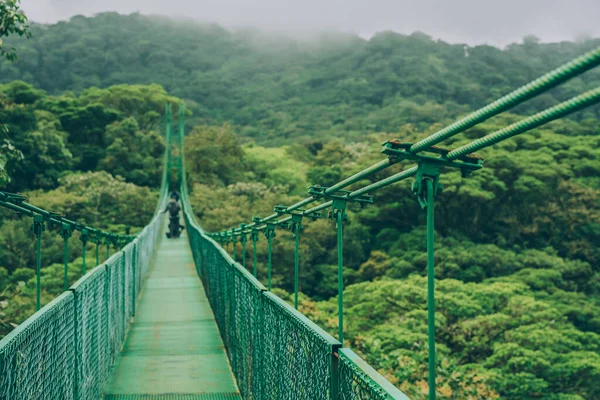 Costa Rica viaje destino de senderismo en América Central. Bosque del Parque Nacional Corcovado. Puente colgante en la selva tropical —  Fotos de Stock