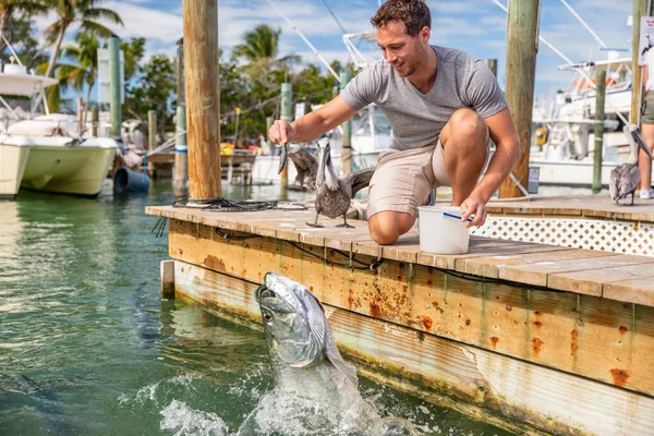 Туризм во Флориде летние каникулы привлекательный турист, весело кормящий тарпона рыбы в ключах, США стиль жизни путешествия — стоковое фото