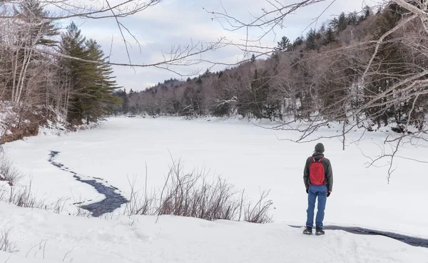 雪の森の山の風景の中に冬のハイキングマン。寒い気候の自然景観の中でバックパックで歩く男性ハイカー — ストック写真