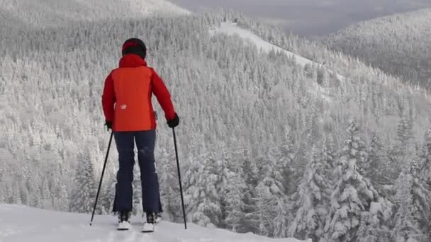 Esquí de invierno - Personas en el esquí. Esquí alpino - esquiador mirando a la vista de la montaña contra árboles cubiertos de nieve Esquí en invierno sobre nieve en polvo perfecta disfrutando del paisaje natural — Vídeos de Stock