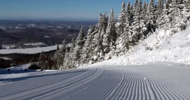 Skiing Fresh Tracks. Closeup of perfect groomed alpine skiing piste trail slope. First Track Ski concept. Skiing on snow slopes in the mountains — Stock Video