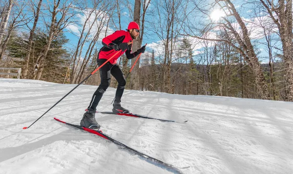 Sci di fondo - L'uomo sullo sci nordico nella foresta in inverno divertendosi endurance sport invernali attività sulla neve sullo sci di fondo in uno splendido paesaggio naturale — Foto Stock