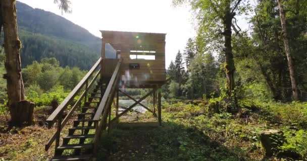 Torre de observación de osos utilizada para observar osos grizzly captura de salmón. Desde British Columbia, Canada. — Vídeos de Stock