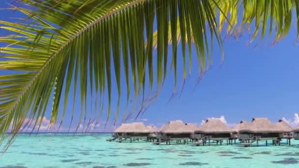 SEAMLESS LOOP VIDEO: Resort hotel in travel vacation paradise with overwater bungalow in ocean lagoon with coral reef sea. 4K Video from Moorea, French Polynesia, Tahiti, South Pacific Ocean — Stock Video