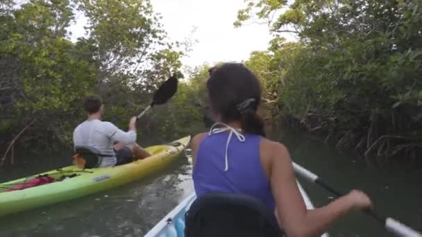 Каяк - гребля на байдарках и каноэ во Флориде — стоковое видео