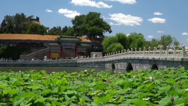 Chinese garden in Beijing - famous public park Beihai Park — Stockvideo