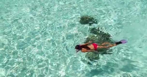 Snorkeling Vacaciones mujer de viaje nadando en la playa agua clara mirando a los peces — Vídeo de stock