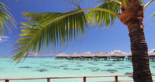 Travel vacation paradise video background with overwater bungalows in sea water — Stock Video
