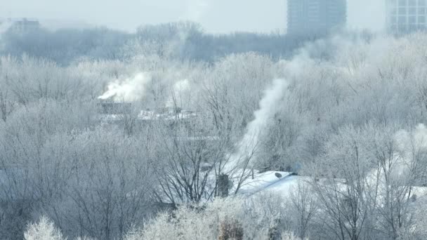 Fumaça de chaminé de lareira a lenha causando poluição do ar e fumaça em Montreal no inverno. Apesar de ser uma das principais causas de fumaça, a queima de madeira é bizarramente ainda permitida em Montreal, Canadá. — Vídeo de Stock