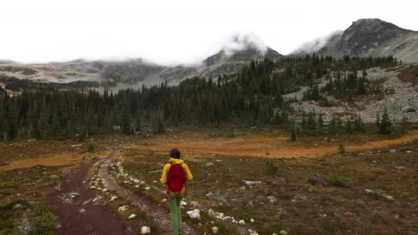 Kaland túrázó nő sétál alpesi túra Blackcomb Mountain Whistler. Turista séta nyáron vagy ősszel élvezi táj természet Brit Columbia, Kanada — Stock videók