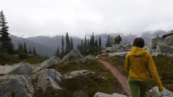 Kobieta wędrująca po przygodzie spacerująca po alpejskiej wycieczce po Blackcomb Mountain w Whistler. Turysta późnym latem lub jesienią życia aktywnego zdrowego stylu życia korzystających z krajobrazu przyrody w Kolumbii Brytyjskiej, Kanada — Wideo stockowe