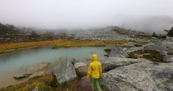British Columbia, Kanada landskap natur med kvinna vandring på äventyr promenader på alpin vandring på Blackcomb Mountain i Whistler. Turist i slutet av sommaren eller hösten lever aktiv hälsosam livsstil — Stockvideo