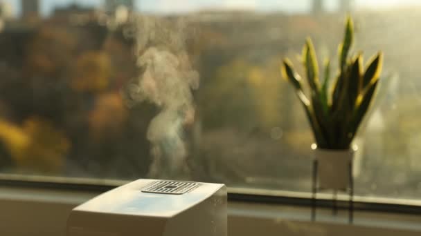 Umidificatore d'aria che produce vapore caldo per aumentare l'umidità a casa durante il clima invernale secco. Umidificatore di vapore interno in soggiorno per un migliore ambiente climatico interno — Video Stock
