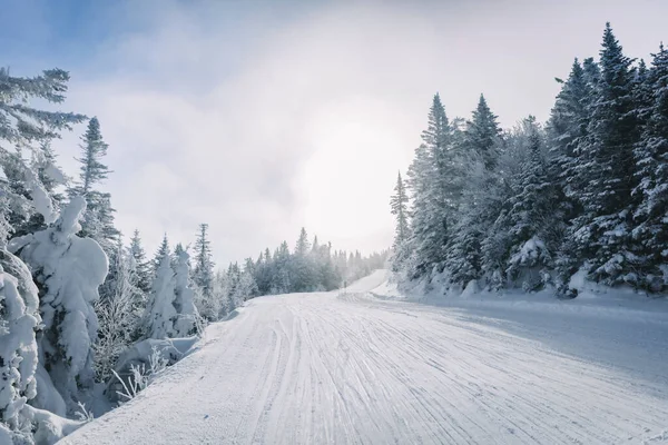 Skiën Alpen Winterlandschap Koude Dag Met Besneeuwde Bomen Skipiste Bergen Stockafbeelding