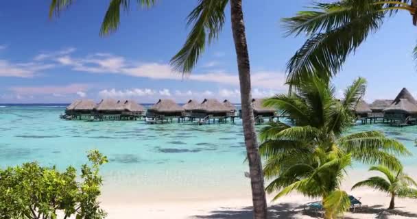 Viaggio Vacanza Paradiso Video Sfondo Con Bungalow Acqua Resort Lusso — Video Stock
