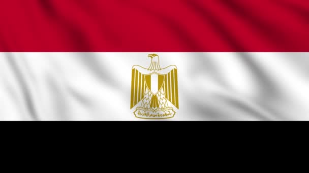 エジプトは旗を開発する エジプト国旗4Kクローズアップ — ストック動画