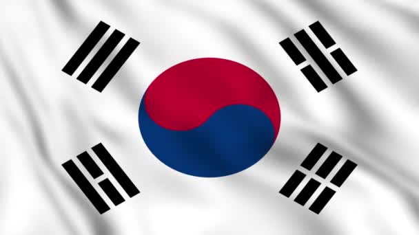 Jižní Korea Mává Vlajkou Jižní Korea Národní Vlajka Detailní Záběr — Stock video