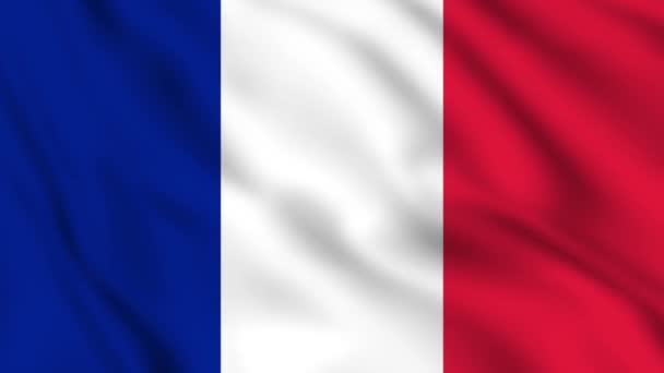 France Agitant Drapeau France Drapeau National Gros Plan — Video