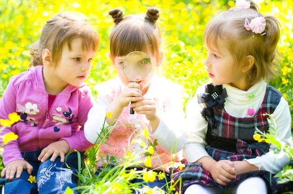 Children playing on meadow — Stock Photo, Image