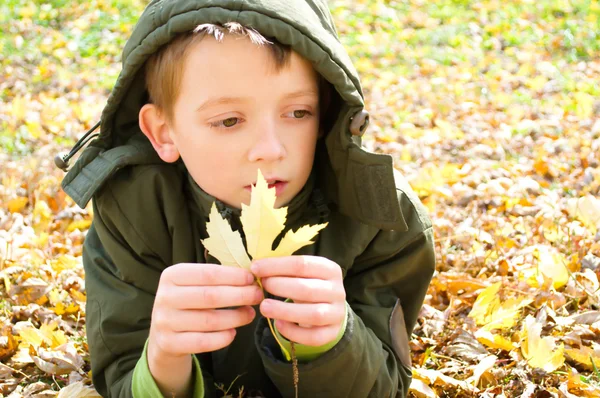 Herfst portret — Stockfoto