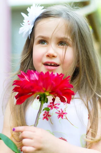 Summer portrait — Stock Photo, Image