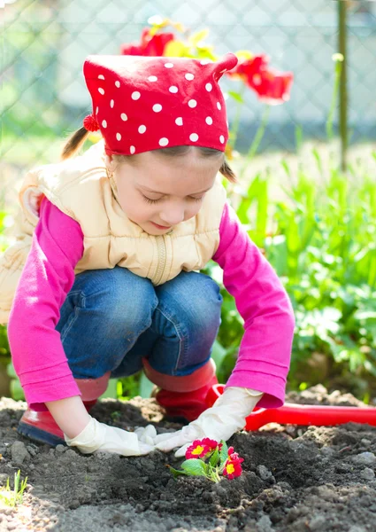 Jardinagem, conceito de plantio — Fotografia de Stock