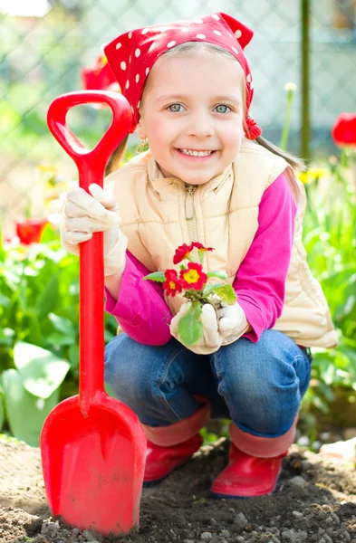 Gardening, planting concept — Stock Photo, Image