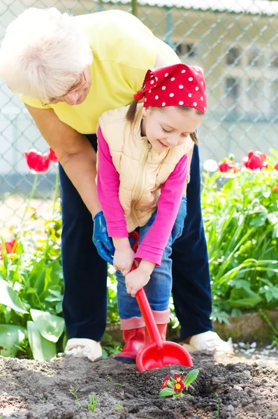 Giardinaggio, concetto di impianto — Foto Stock