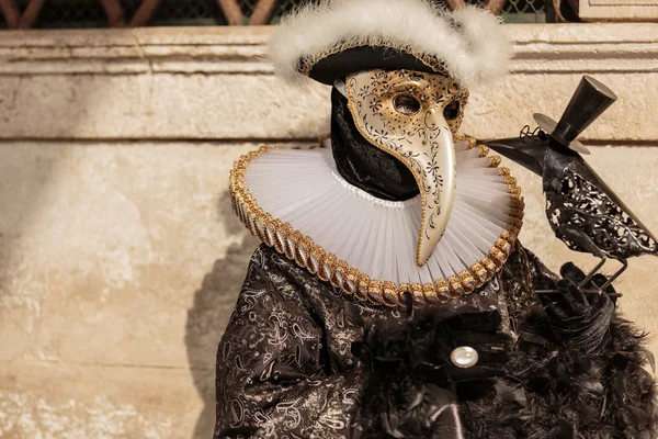 Masked person at the Venice Carnival 2014 — Stock Photo, Image